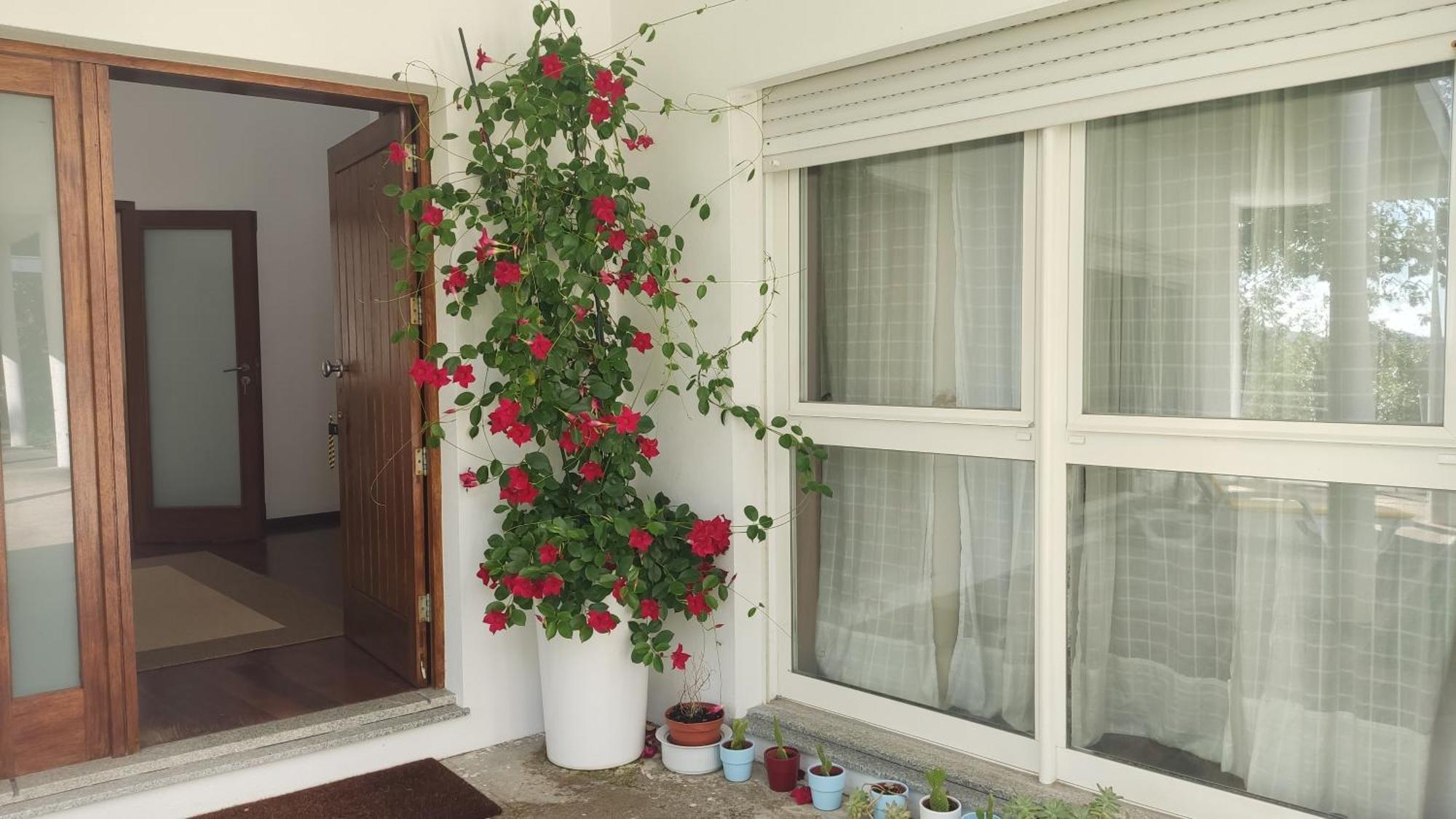 Bed and Breakfast Casa De Apeleiras Marco de Canavezes Exterior foto